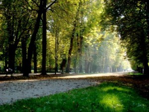 parcul central