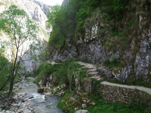 cheile-turzii2
