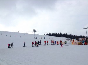 Transalpina